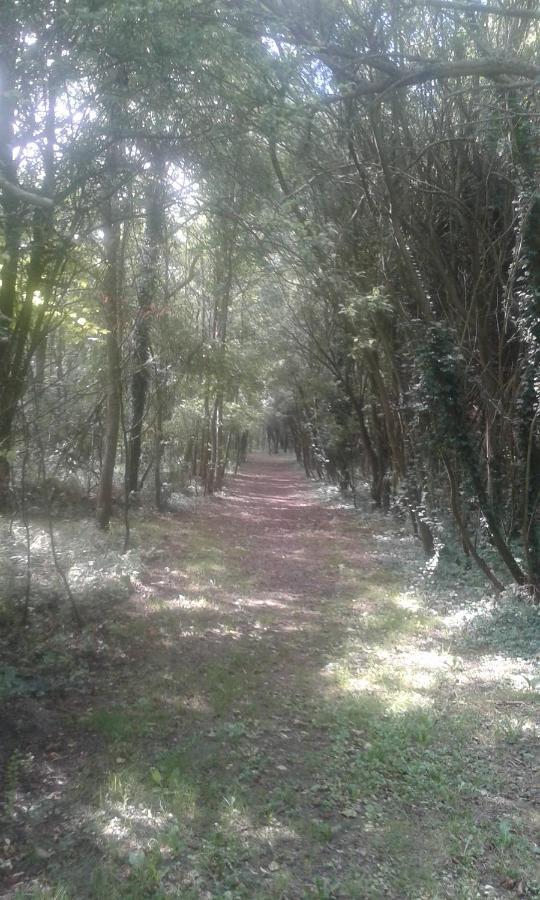 Les Portes Des Froises Saint-Quentin-en-Tourmont Exteriör bild