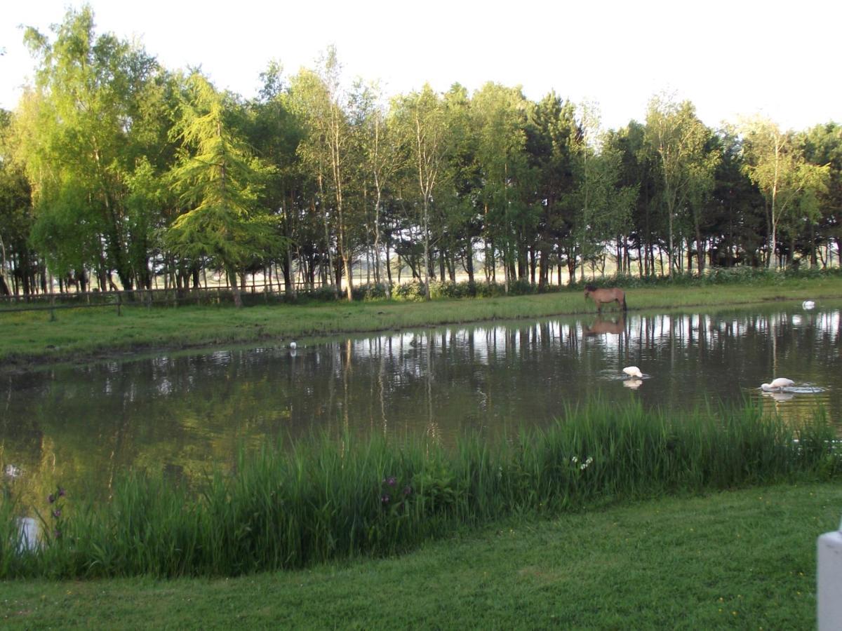 Les Portes Des Froises Saint-Quentin-en-Tourmont Exteriör bild